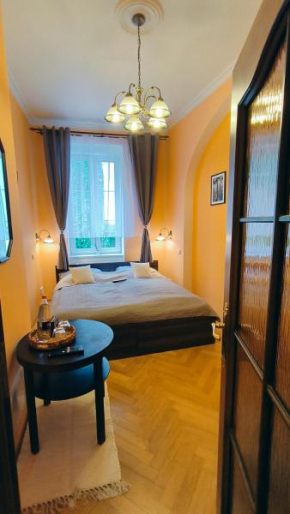 Comfort Apartment in City Center